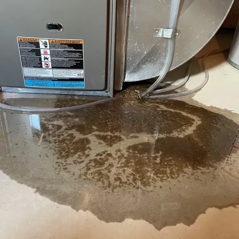 Appliance Leak Cleanup in Montgomery County, IA